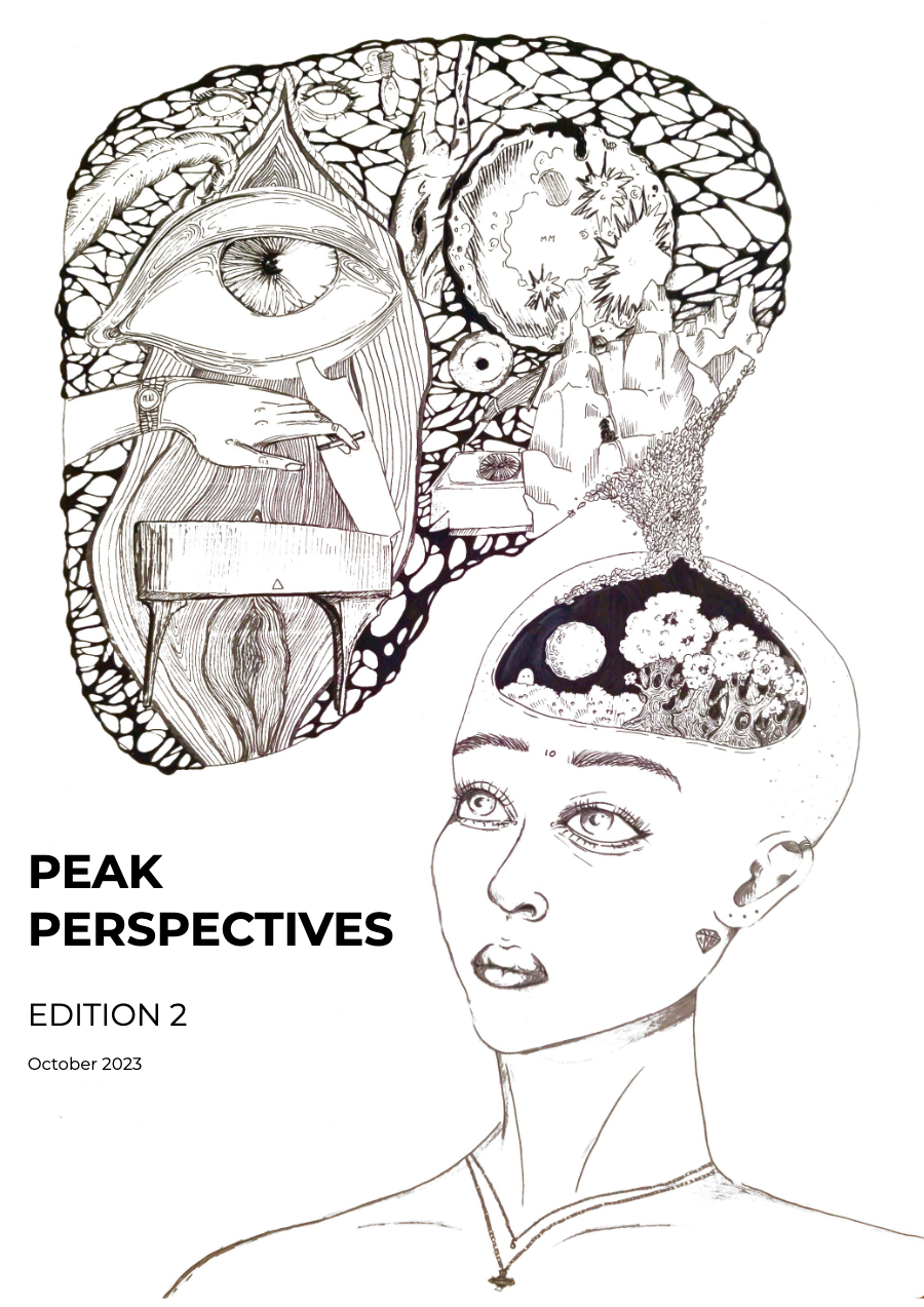 Couverture de LE RĒGENT PEAK PERSPECTIVE - 2nd Edition